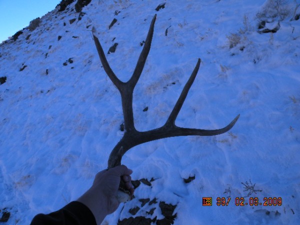 heres a nice 160 class 4 point I spotted about 200 yds away along a trail in the snow!! never found the other side but ill definetely be going back to look for it!!