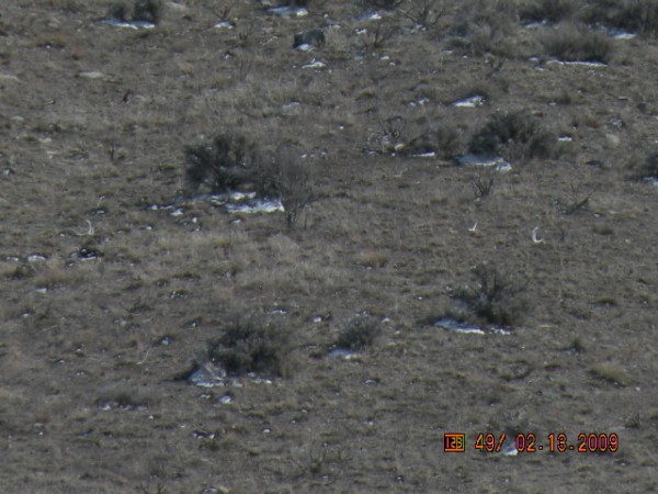 there are three sheds in this pic can you see them ? found them just like this, one set and one single!