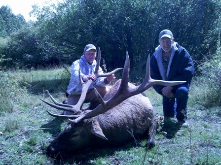 Me and my dad with Larrys bull.  Lots of mass!!!