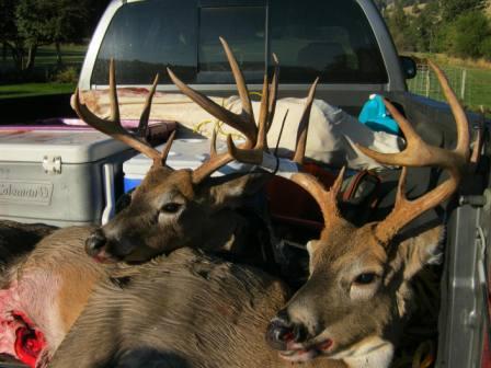 Bucks in trucks are good. Mine on the left, friends on the right.