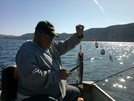 this is about the average size rainbow we were catching.
