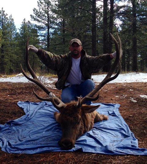 elk 2013 6.jpg