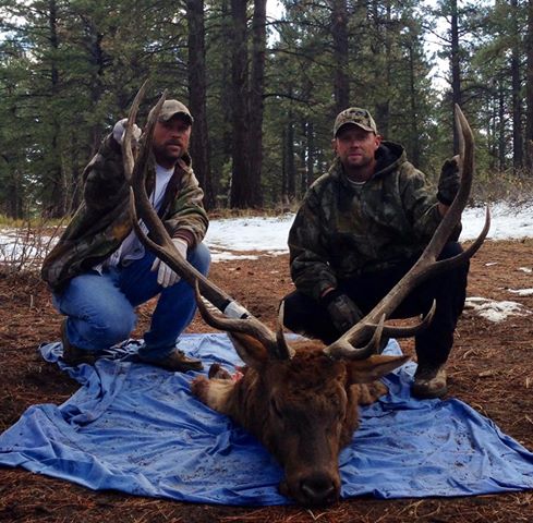 elk 2013 7.jpg