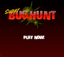 Online Games - Super Bug Hunt