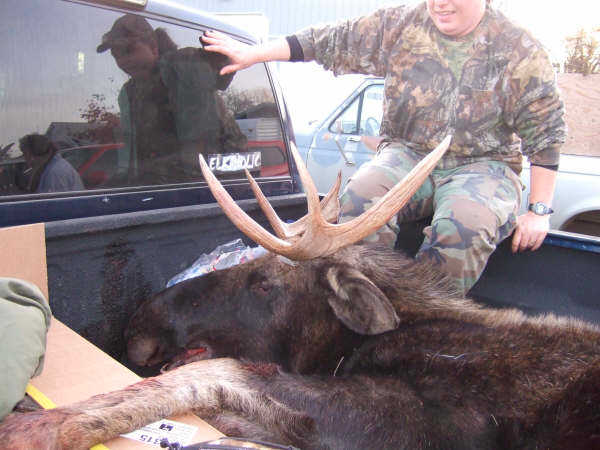 Idaho Moose success