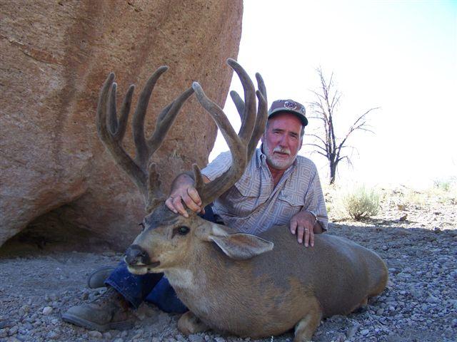 Re: monster! nevada bucks down!