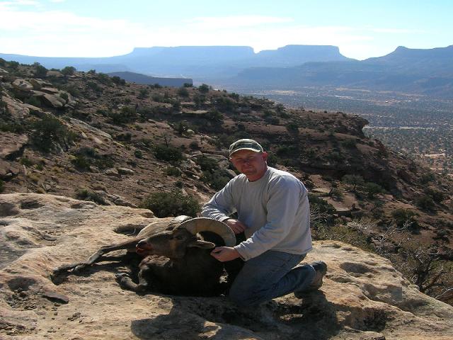 San Juan Sheep Success