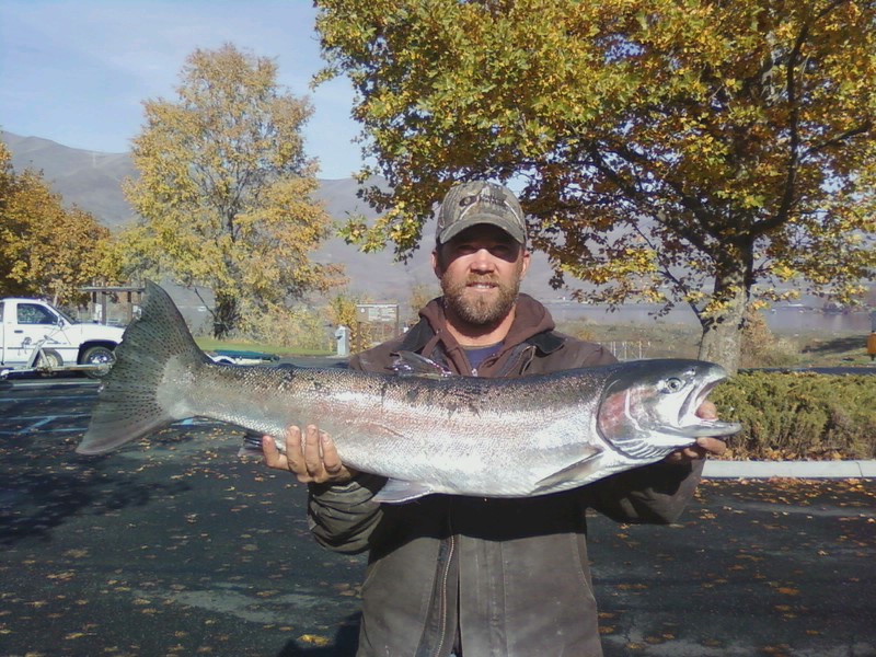 Nice Steelhead hen