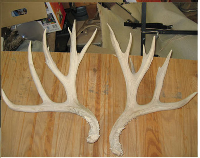 200&amp;quot;+ Sheds.