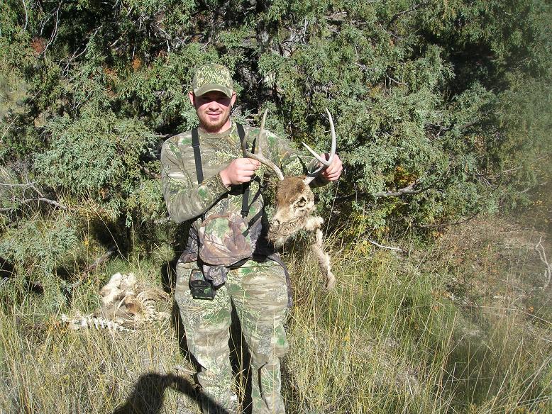 Found this dead 2 point buck underneath a tree on the 2006 Utah muzz hunt