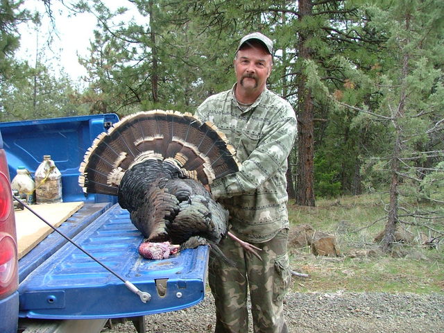 turkey hunting pics