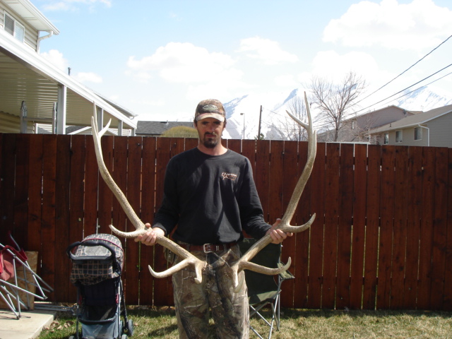 First elk even a set for 08