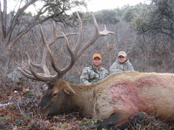 Utah Late Season Bull