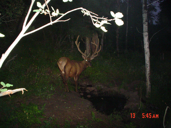 Re: 08 Trail Cam