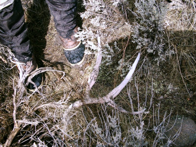 Shed left on mtn.