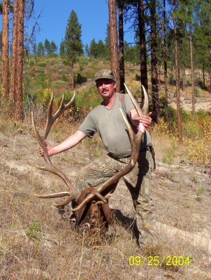 7 point Washington bull