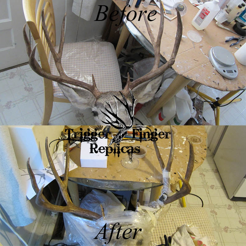 Antler Repairs