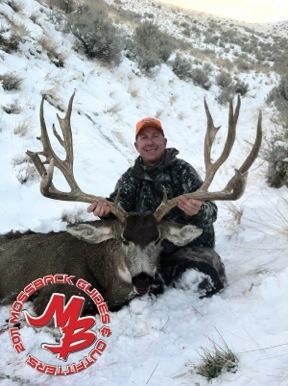 Antelope Island buck #2