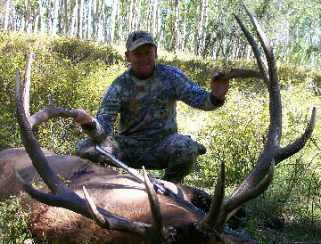 Muzzle Load bull pics...