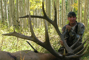 Muzzle Load bull pics...