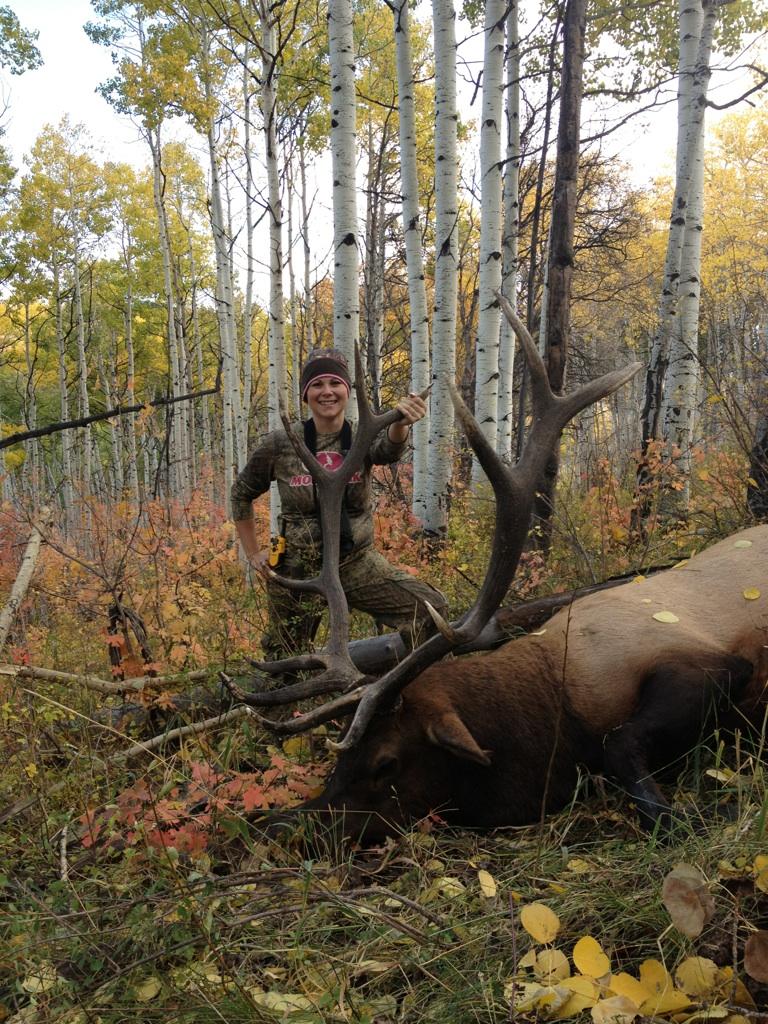 Fishlake muzzleloader bull