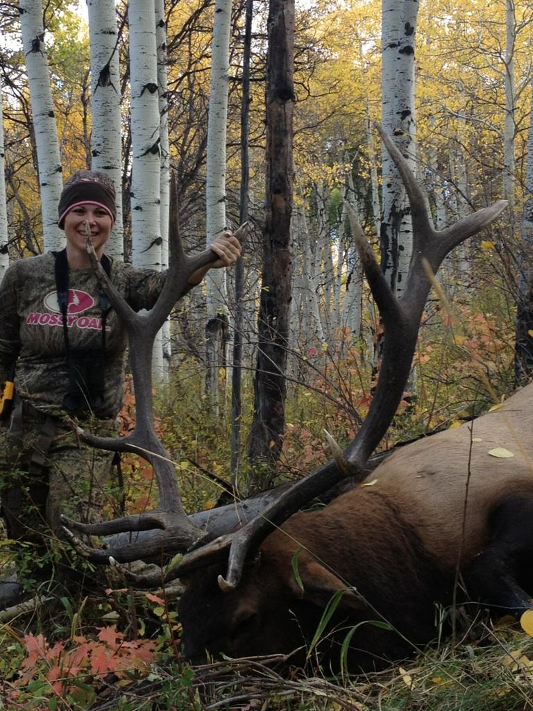 Fishlake muzzleloader bull