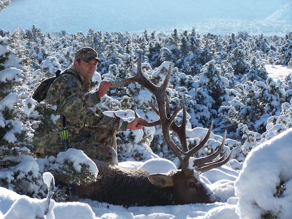 Sanpete Extended Archery Bull!!