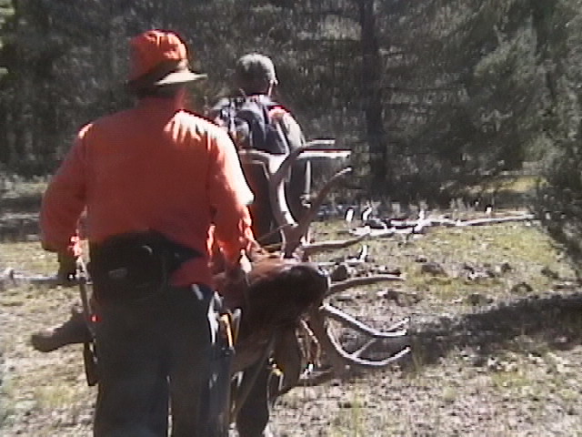 Utah LE elk hunt