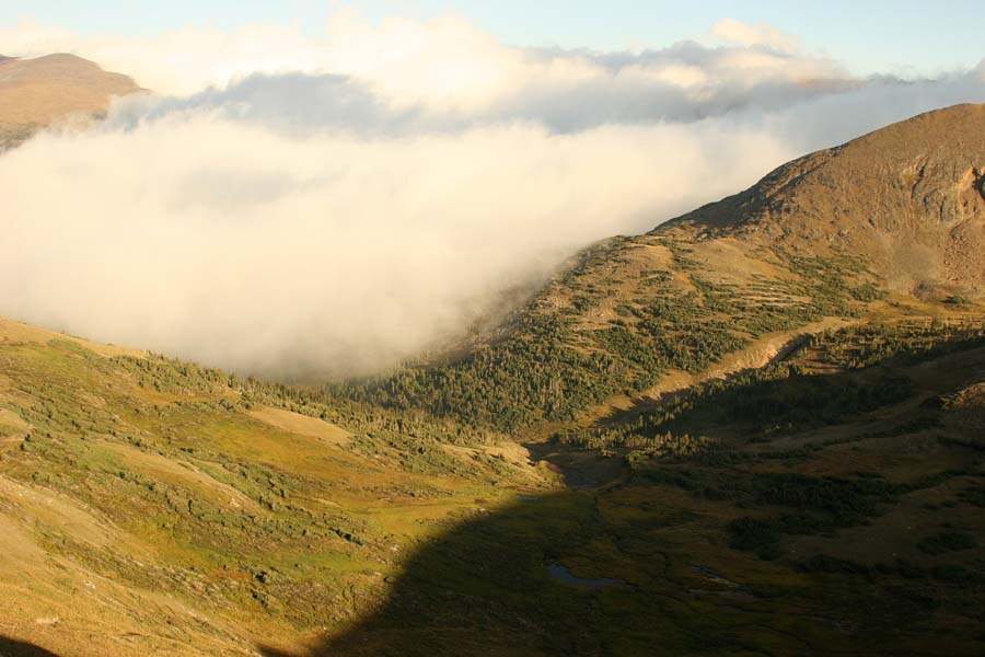 ELK COUNTRY!