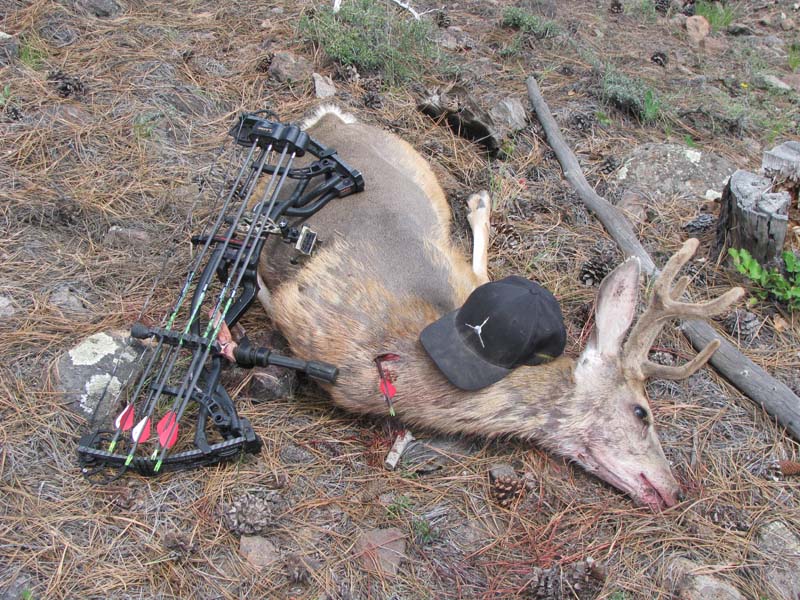 Another Brothers Buck from last year