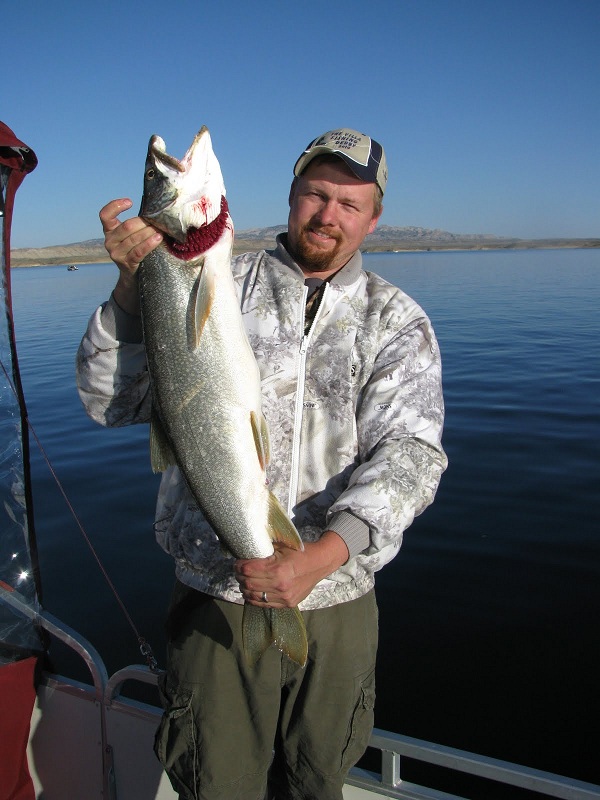 small lake trout from the weekend?