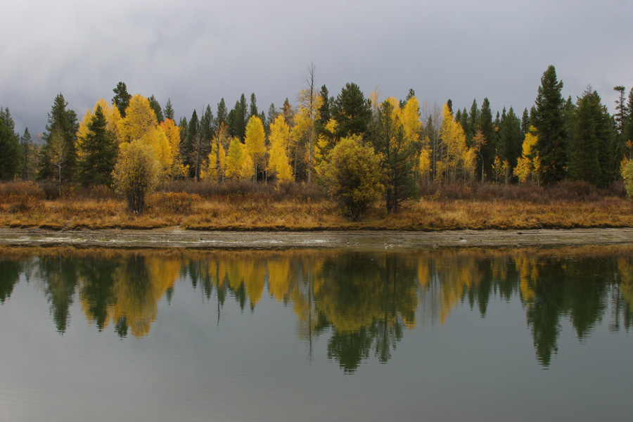 My trip to YellowStone