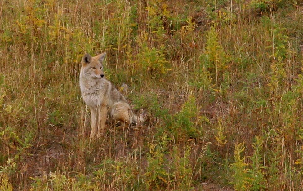 Re: My trip to YellowStone