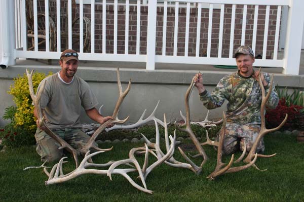 Elk sheds