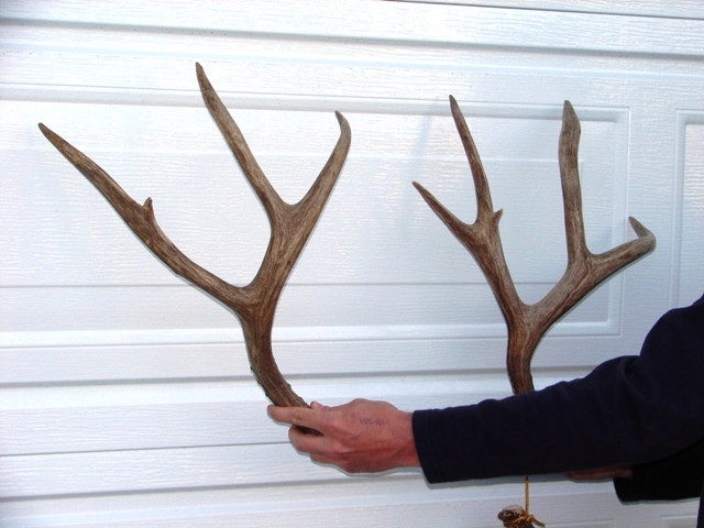 UT buck sheds