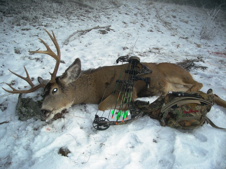 Wa archery buck