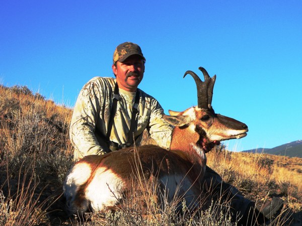 Idaho Goats