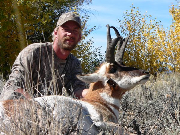 Idaho Goats