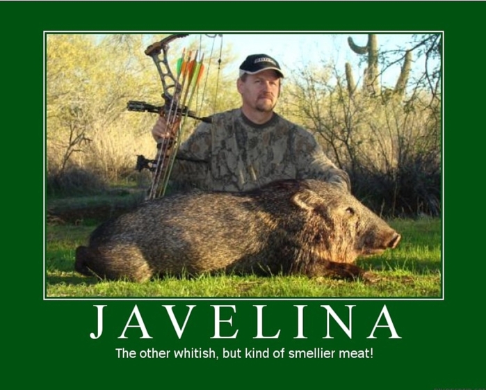 Re: Anybody Javelina hunting in Januuary?