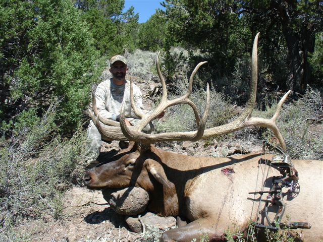 Utah 403&amp;quot; Archery Bull......AMAZING!!!!