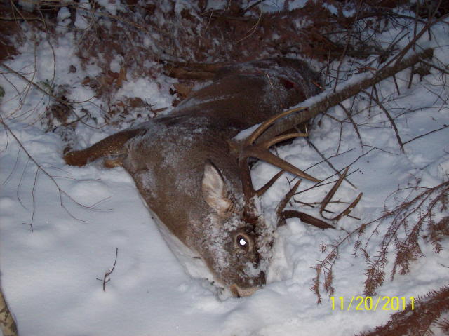 My last good one in WI 2011 138&amp;quot; 8 pt