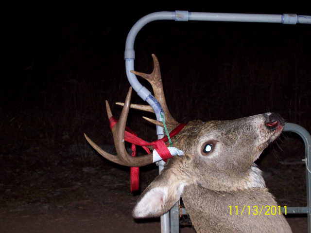 John shot this one 200+ yards out in a beaver pond...He gutted it in knee deep water....2 hours after dark when we made it back to the truck...&amp;quot;What a hunt!&amp;quot;