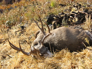 Re: Utah&#039;s Rifle Opener Success??