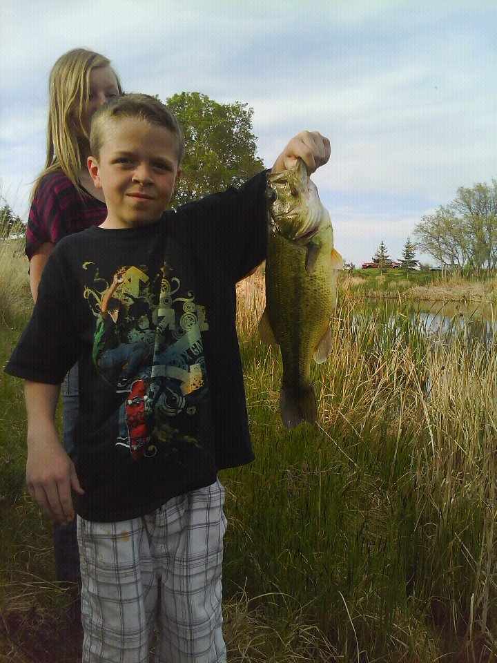 My sons bass/ uploaded more pics