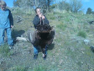 Turkey success