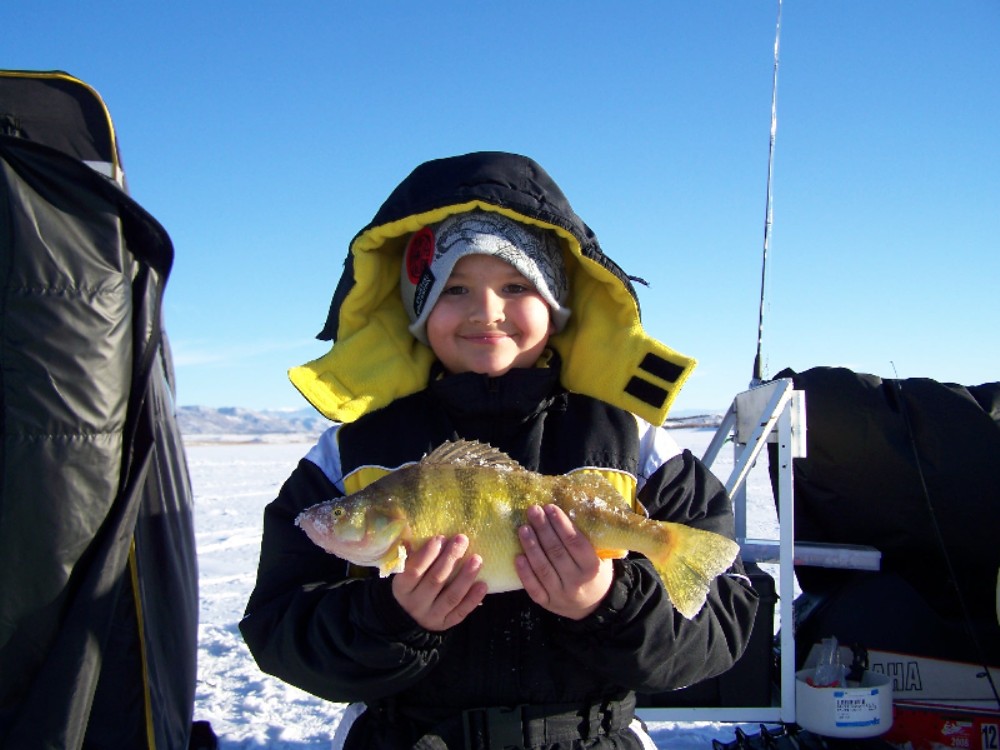 Re: Canyon Ferry perch derby!