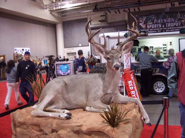 Hunt Expo pics