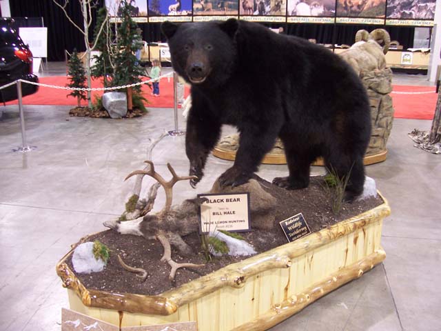 Re: Hunt Expo pics