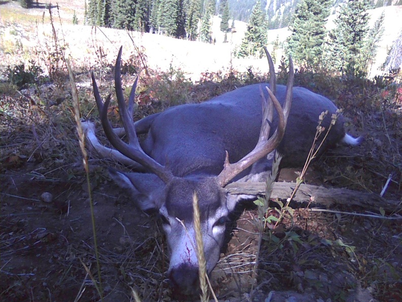 Post your 2009 Muley here