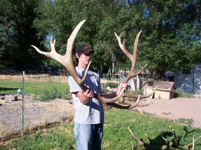 first elk sheds set